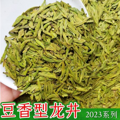 豆香型龙井茶2023新茶上市浓郁耐泡醇厚浙江龙井43号群体种绿茶茶 2斤起批