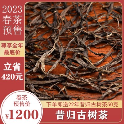 2023年云南普洱生茶春茶预售临沧昔归古树纯料500克生普洱茶批发2件起批