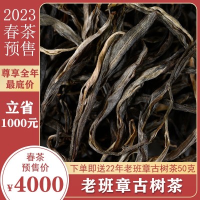 2023年云南普洱生茶春茶预售老班章古树茶500克生普洱茶批发2件起批