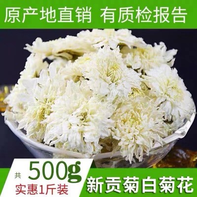 白菊花500克批发黄山贡菊散装七月菊花草茶安徽新花上市厂家直销2件起批