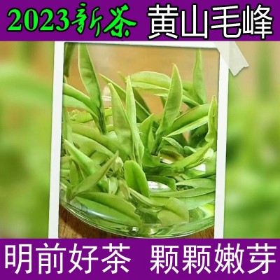 2023新茶黄山毛峰茶叶绿茶明前特一级春茶安徽高山毛尖散装250g2件起批