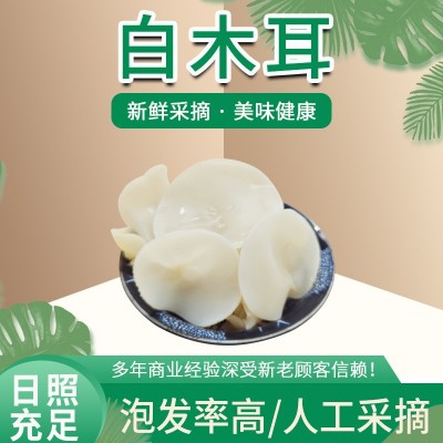 东北特产白玉木耳干货白木耳批发 单片竹耳食用菌农副产品白木耳100件