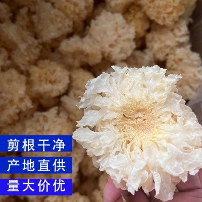 古田椴木小银耳500g干货散装批发产地直供白木耳糯耳特产菇礼包2件