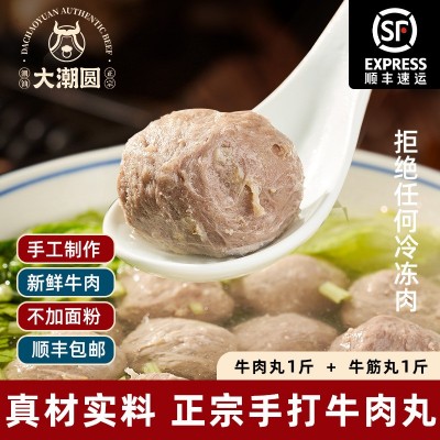 大潮圆团丸潮汕手打牛肉丸正宗潮州牛筋丸手工火锅食材烤丸子批发2件