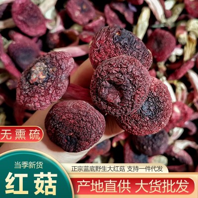 云南特产大红菌干货散装 香甜红面菇 厂家批发蓝底正红菇2kg。