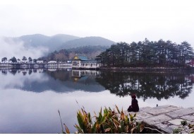 南昌鄱阳湖国家自然保护区Poyang Lake