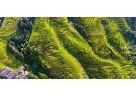 龙脊梯田4A景区