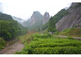 大龙湫景区Dalongqiu Scenic Area