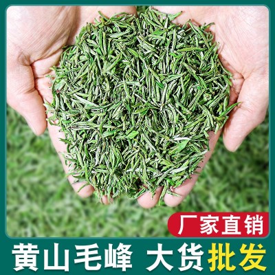 天然峰 黄山毛峰茶2023新茶安徽散装毛尖茶特级500g茶叶绿茶批发2斤