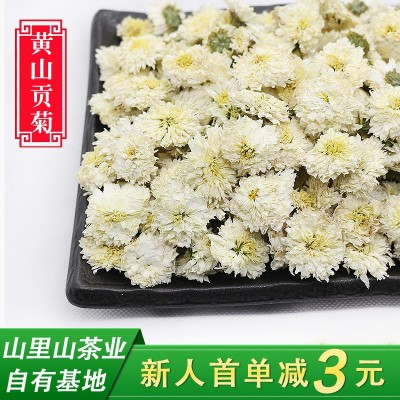 当季新花山里山安徽黄山贡菊散装菊花茶批发产地货源500克白 菊花2斤