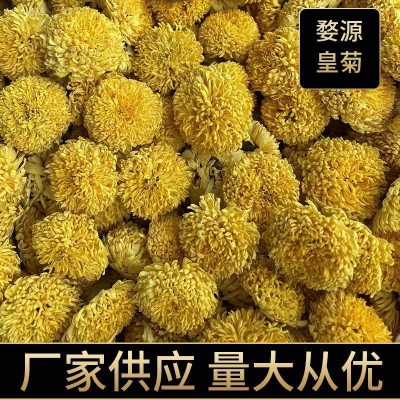 新婺源散装批发皇菊菊花菊花茶黄菊桃菊球菊乒乓球菊一朵一批大货2斤