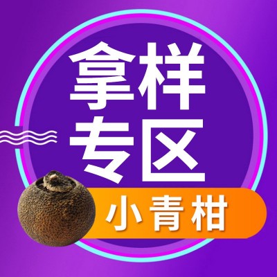 新会小青柑普洱茶拿样品区 新会茶乡天马梅江陈皮柑橘普茶厂批发5件