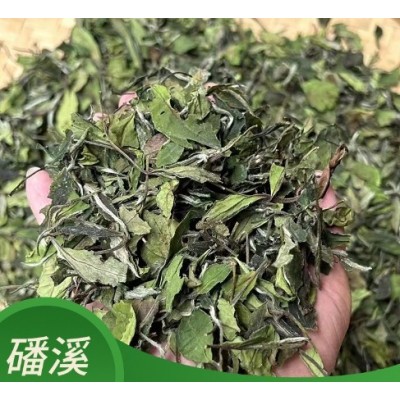 2023年春贡眉福鼎白茶散茶磻溪寿眉云雾层兰花香水甜日晒高山茶叶  2斤