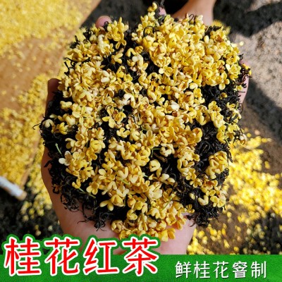 桂花红茶叶2023新茶窨制桂花九曲红梅金骏眉丹桂小种红茶散装批发2斤