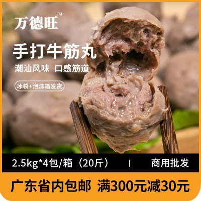 潮汕手打 牛筋丸 牛肉丸商用潮州特产牛筋丸子烧烤火锅食材批发  2袋