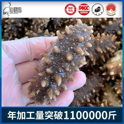 源头工厂即食海参 大连即食海参 500g 生鲜即食海参批发 4-30头  10斤