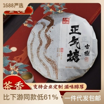 云南普洱茶源头厂家批发临沧正气塘老树纯料紧压357克普洱生茶饼  2包