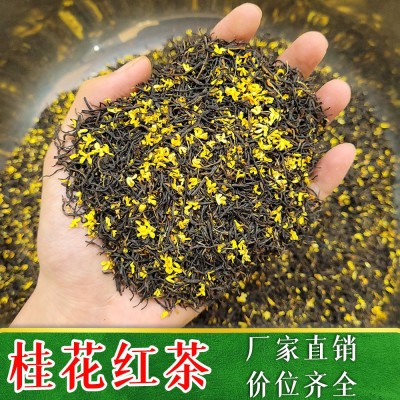 2023新茶桂花红茶春散茶叶批发走量包邮小种宜兴红茶九曲红梅500g  2斤