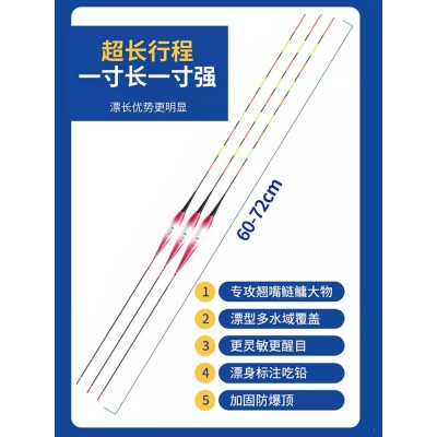 柳韩翘嘴行程夜光漂日夜两用硬尾鲢鳙漂超长醒目流氓鱼漂大物专用  2个