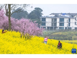 诗意节令|春分：沃野欢歌起　春色正中分